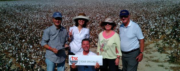 Aegean Discovery Tour , Pamukkale Cotton Fields