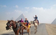 Enjoy the horse riding in Cairo!