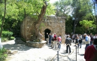 Ephesus expresso Balcão